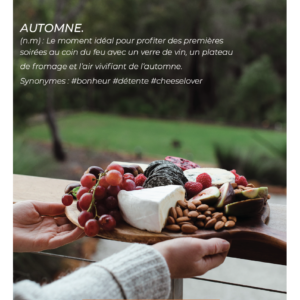 CAMPAGNE DE MARKETING D'INFLUENCE AVEC FROMAGES.COM